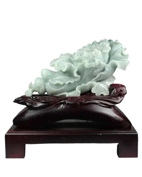 百财聚来